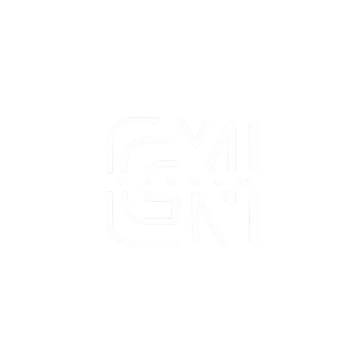 Logo VGN blanc