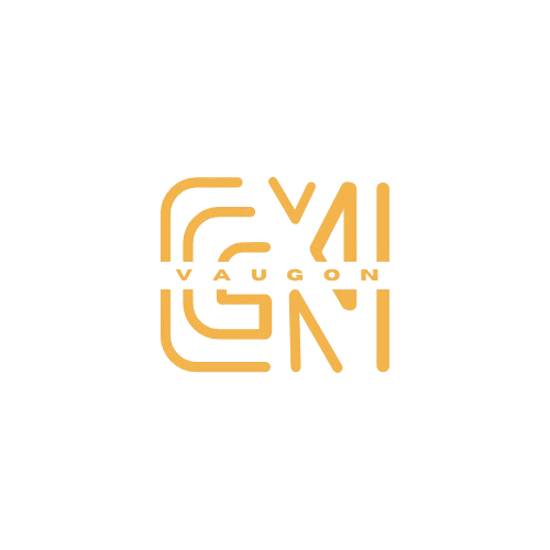 Logo VGN orange