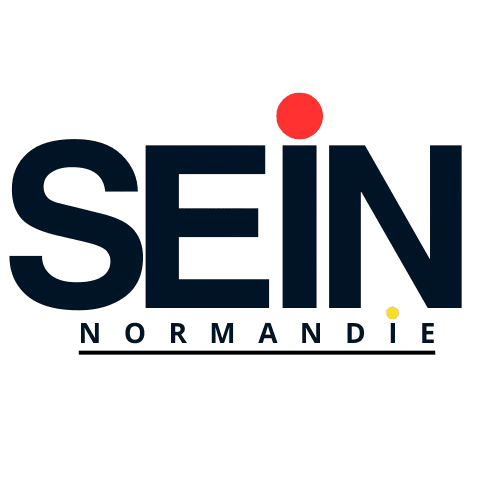 logo fictif SEIN